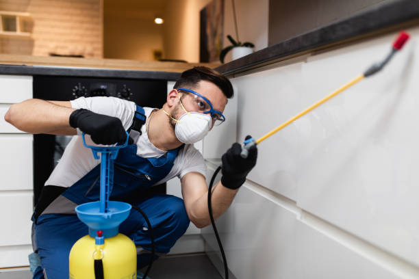 Best Mosquito Control Services  in Springtown, TX