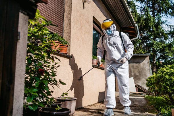 Best Flea Control Services  in Springtown, TX