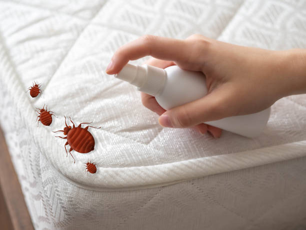 Pest Prevention Services in Springtown, TX