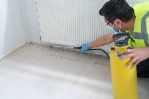 Best Residential Pest Control  in Springtown, TX