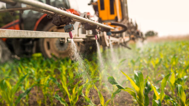 Best Wildlife Control Services  in Springtown, TX